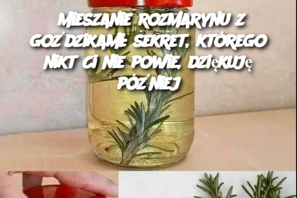 Mieszanie rozmarynu z goździkami: sekret, którego nikt Ci nie powie, dziękuję później