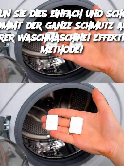 Tun Sie dies einfach und schon kommt der ganze Schmutz aus Ihrer Waschmaschine! Effektive Methode!