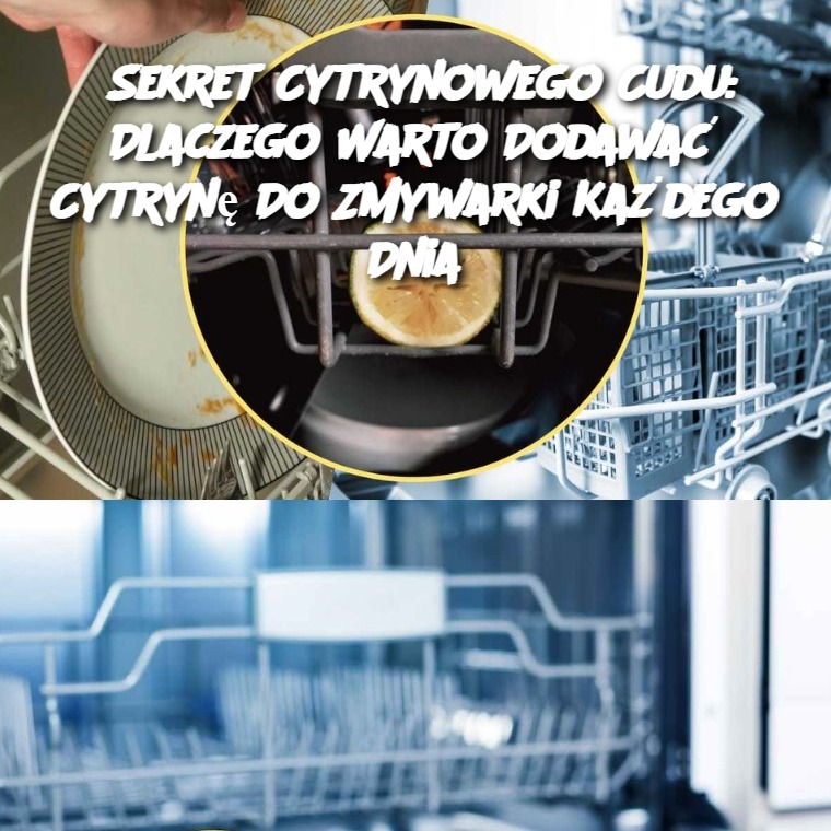 Sekret Cytrynowego Cudu: Dlaczego Warto Dodawać Cytrynę Do Zmywarki Każdego Dnia