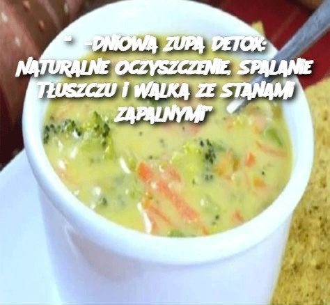 “3-Dniowa Zupa Detox: Naturalne Oczyszczenie, Spalanie Tłuszczu i Walka ze Stanami Zapalnymi”